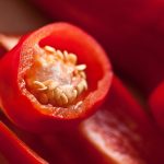 El chile más picante del mundo no está en México: sorprendente hallazgo en el Día Internacional de la Comida Picante