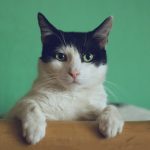 Crisis y renovación en los refugios: Entre la falta de recursos y el desafío del invierno